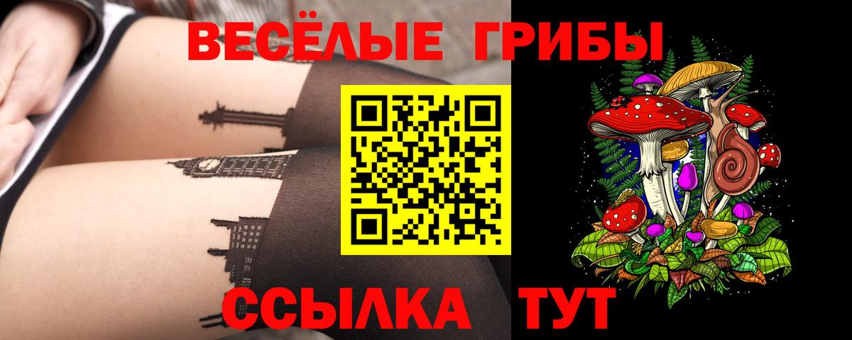 Галлюциногенные грибы прущие грибы  Псилоцибиновые грибы Psilocybe  цены   Верхний Уфалей  Вход с VPN 